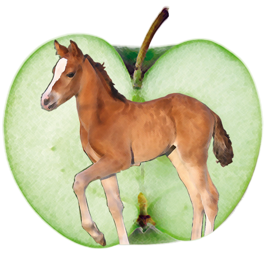 Reitstall am Apfelgarten Logo